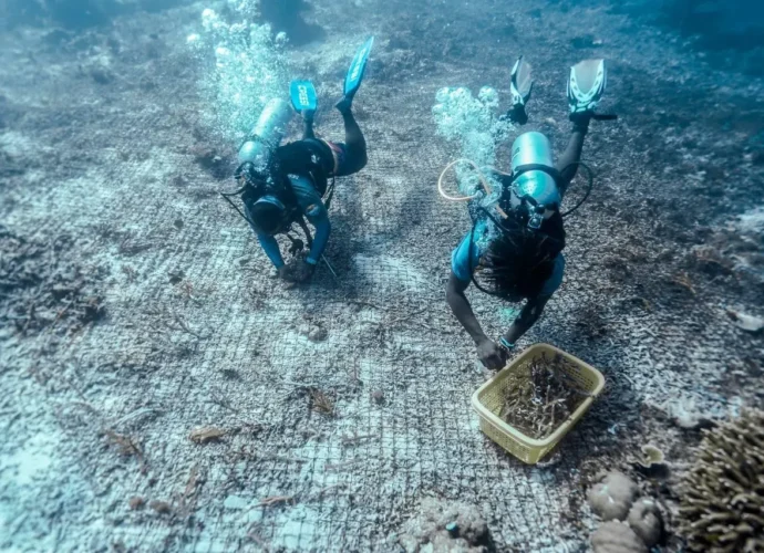 Wamenpar Tegaskan Pariwisata Berkelanjutan Jadi Fondasi Daya Saing Global Indonesia