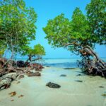 Bosan Liburan Antimainstream? Intip Hidden Gem Baru di Bintan yang Mirip Vibes Luar Negeri!