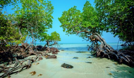 Bosan Liburan Antimainstream? Intip Hidden Gem Baru di Bintan yang Mirip Vibes Luar Negeri!