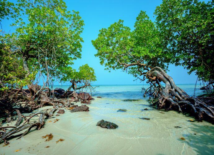 Bosan Liburan Antimainstream? Intip Hidden Gem Baru di Bintan yang Mirip Vibes Luar Negeri!