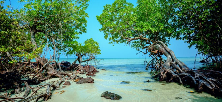 Bosan Liburan Antimainstream? Intip Hidden Gem Baru di Bintan yang Mirip Vibes Luar Negeri!