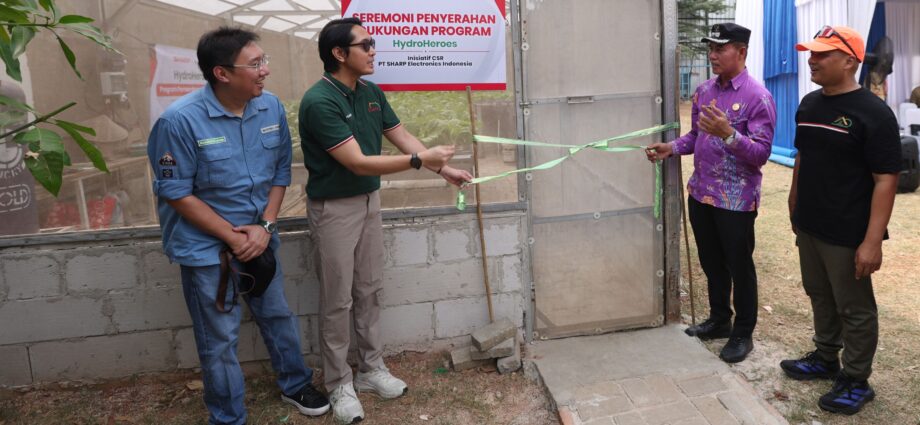 Mengubah Lahan Mati Jadi Dapur Hidup: Sinergi Hijau Sharp Indonesia Dalam Memperdayakan Perempuan